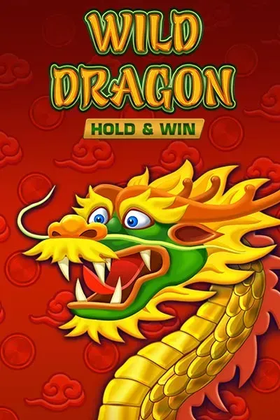 E91ad387 5c2d 442b a143 a96f6199985b 400x600wilddragonholdwinamatic